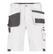 DASSY® Monza Painter