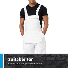 Men's and Women's Painter