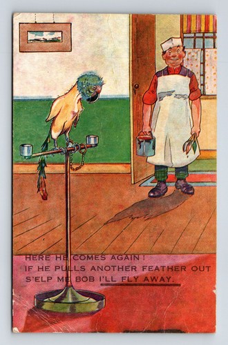 Comic postcard parrot plucked - postcard:,